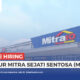 Loker PT Catur Mitra Sejati Sentosa (Mitra 10) April 2024