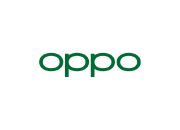 Lowongan Kerja PT Bright Mobile Telecommunication (OPPO)