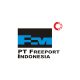 Lowongan Kerja PT Freeport Indonesia