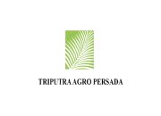 Kerja PT Triputra Agro Persada Tbk Desember 2024