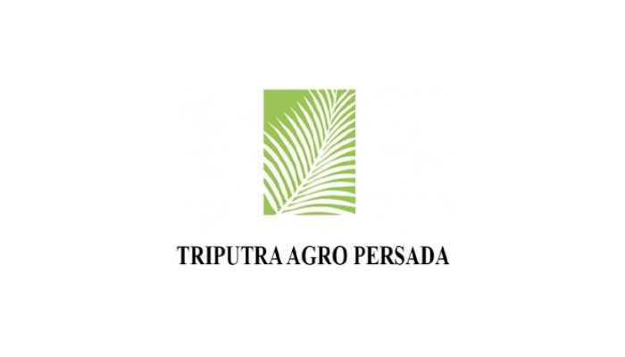 Kerja PT Triputra Agro Persada Tbk Desember 2024