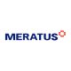 PT Meratus Line & Group