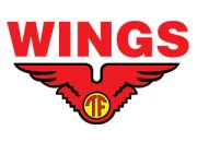 Lowongan PT Multi Indomandiri (Wings Group) Desember 2024