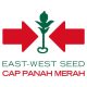 PT East-West Seed Indonesia (EWINDO)