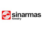 Lowongan Sinarmas Forestry Februari 2025