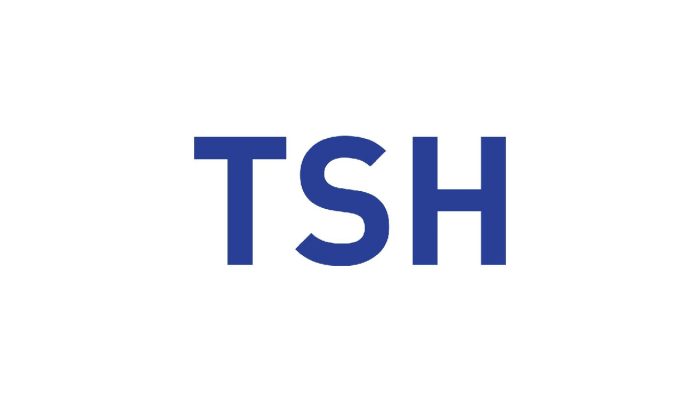 Kerja PT Tah Sung Hung (TSH) Maret 2025