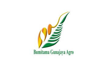 Lowongan Kerja PT Bumitama Gunajaya Agro (BGA Group)